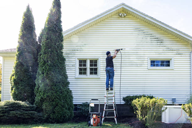 Best Gutter Cleaning  in Reform, AL